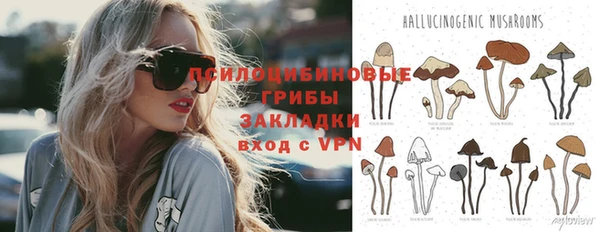 Альфа ПВП Богородицк