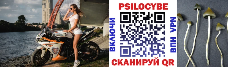 Галлюциногенные грибы Psilocybe цена наркотик Среднеуральск